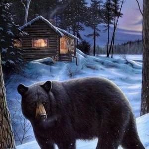 Meet your Posher, Robert